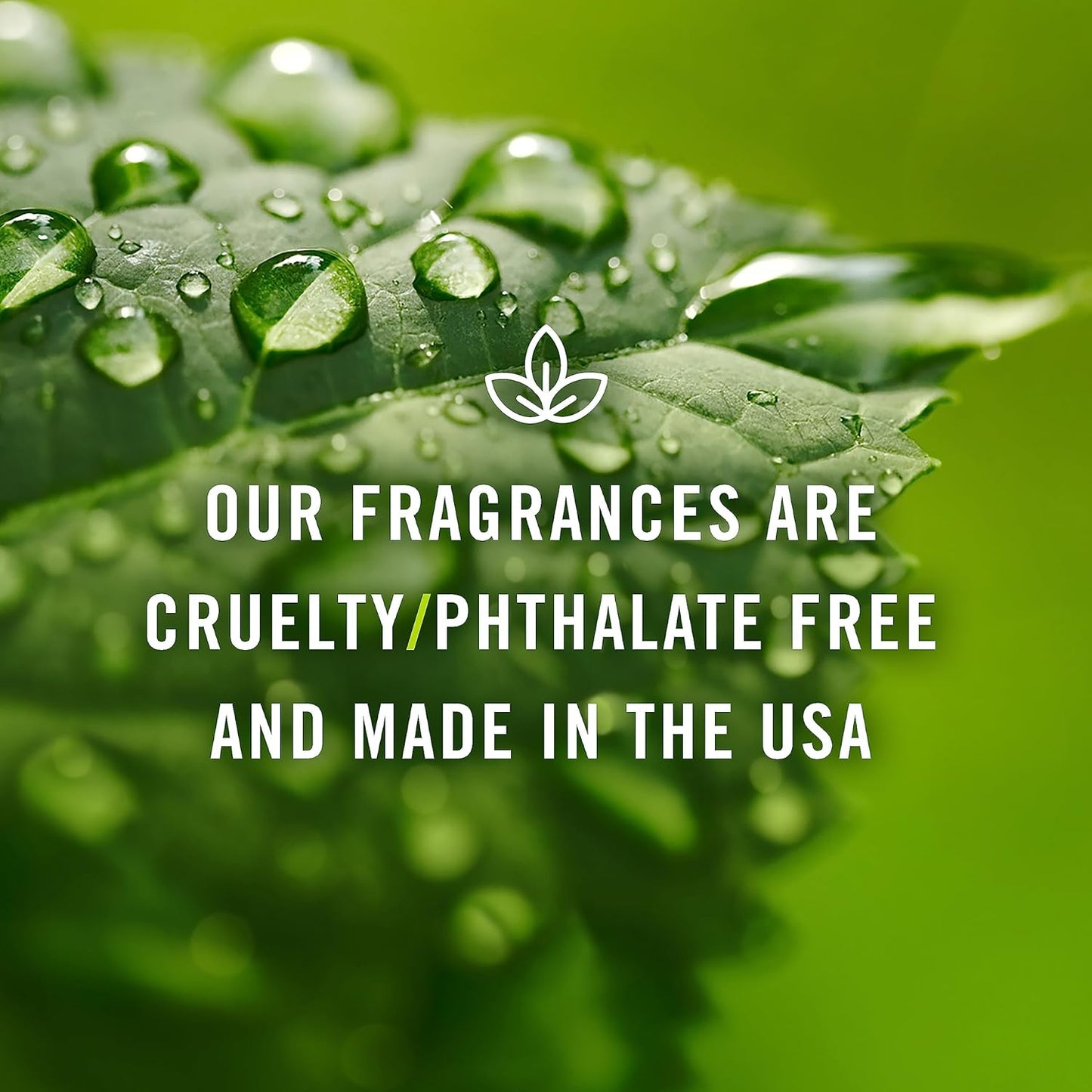 P&J Trading Fragrance Oil | Leather Oil 10ml 2pk - Candle Scents for Candle Making, Freshie Scents, Soap Making Supplies, Diffuser Oil Scents