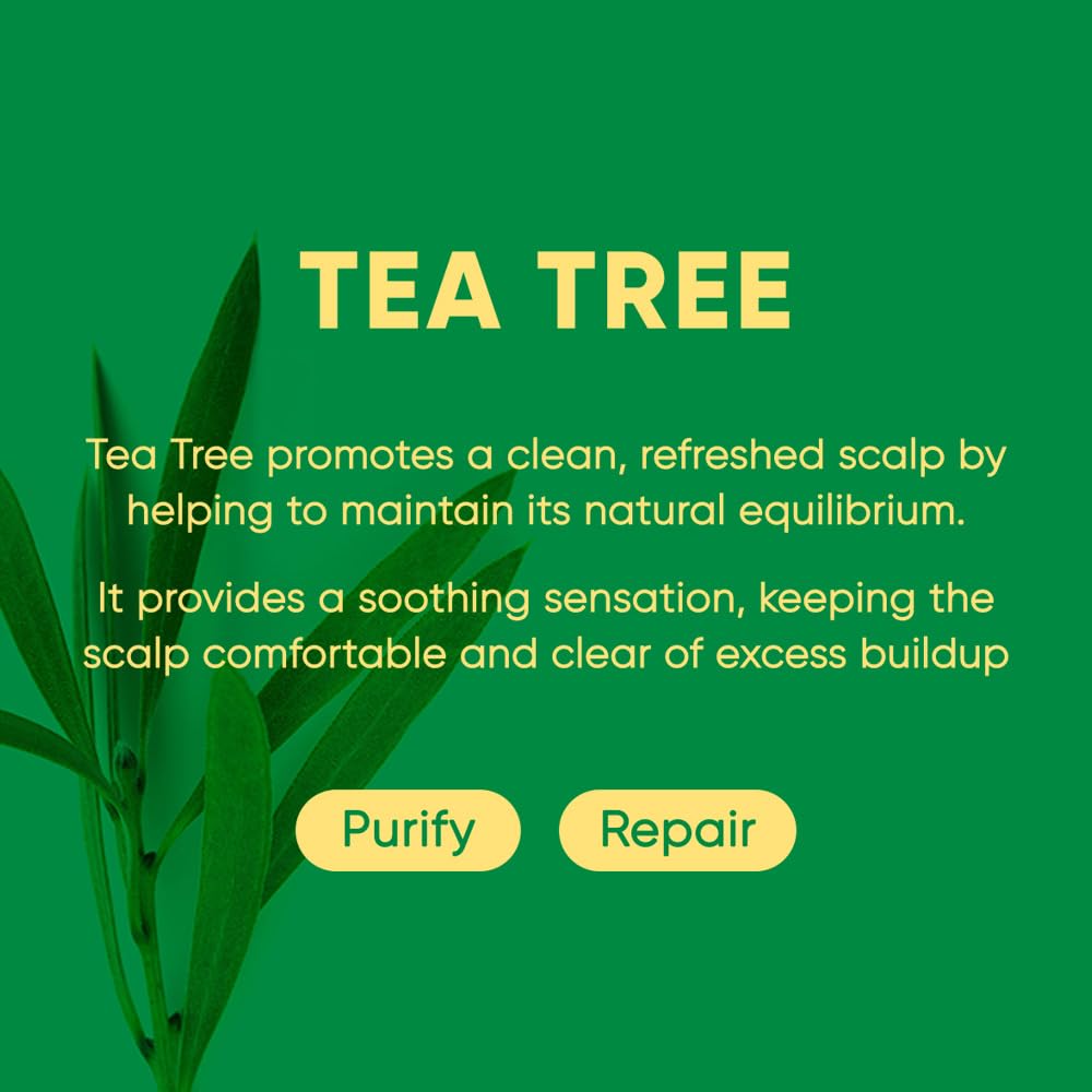 Tea Tree Shampoo Bar 2.0 - Hydrating & Moisturizing Natural Hair Soap Bar Shampoo for Excess Oil Build-Up & Scalp Nourishment - Bathing Soap Solid Shampoo for All Hair Types (120g, 4.23oz)