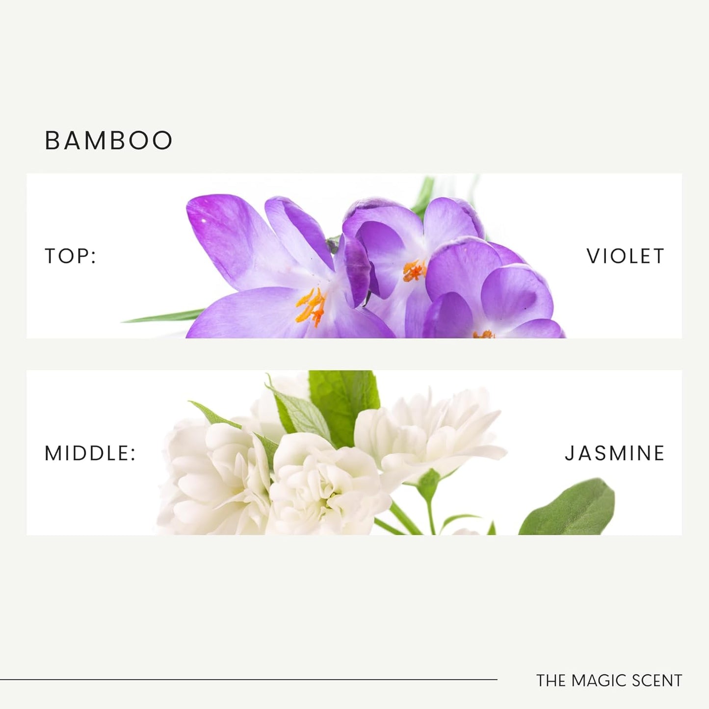 Bamboo Diffuser Oil - Hotel & Home Luxury Scents Inspired by The Four Seasons, Bora Bora - Diffuser Oil Scents for Home Designed for Use in All Diffusers - 16.9 fl oz, 500 mL