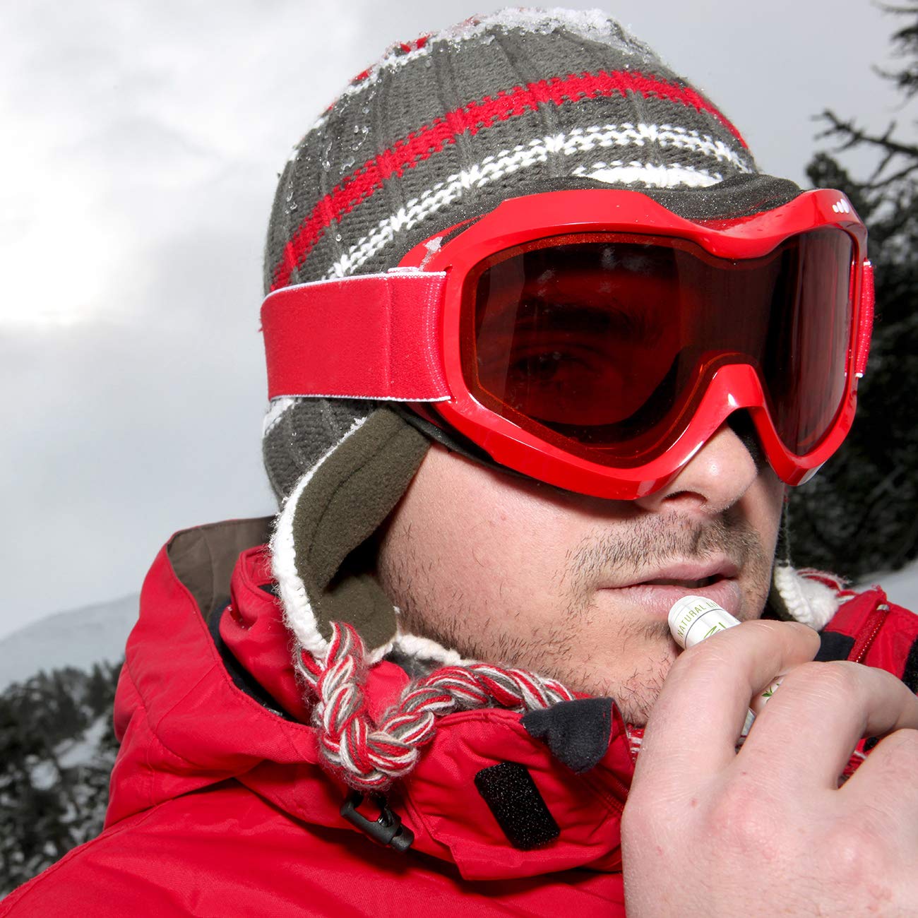 Naturistick Premium Beeswax Lip Balm for Dry, Chapped Lips | 100% Natural Lip Care | Coconut Oil, Shea Butter, Aloe Vera | Moisturizing, Chemical-Free Chapstick | 32 Pack Assorted Scents | Made in USA