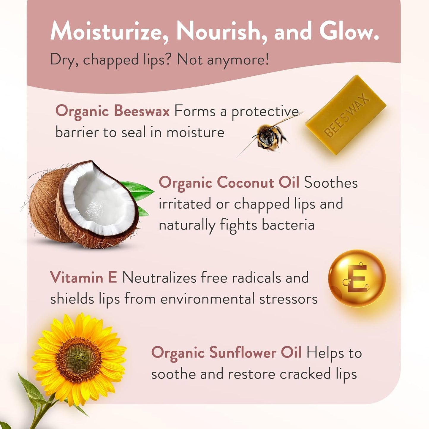 Moroccan Magic Organic Lip Balm & SPF15: 11 Piece Variety Pack Gift Set | Organic Argan and Essential Oils | Smooth | Natural | Non-Toxic | Cruelty Free | 11 Pack