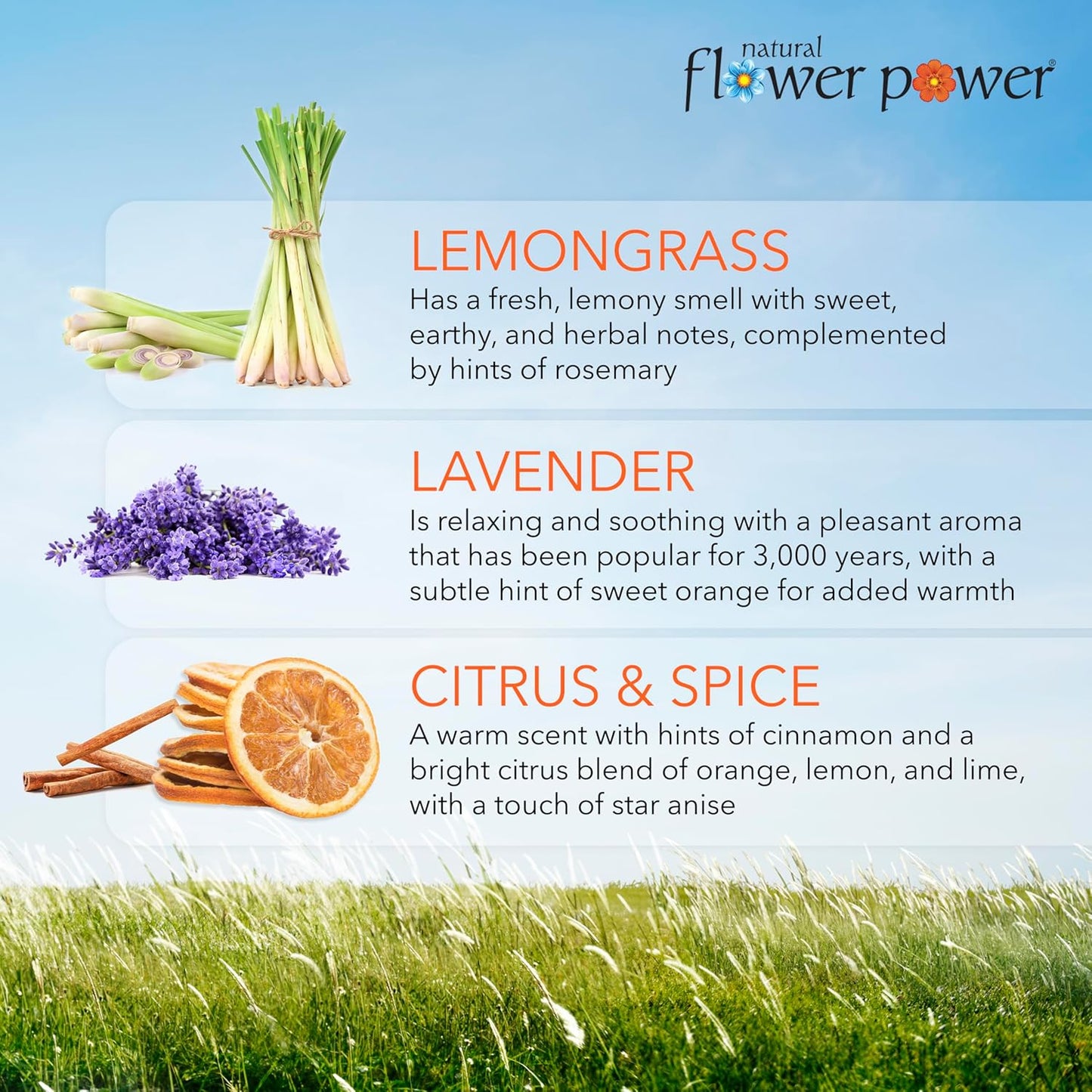 Air Freshener Spray - Odor Eliminator with Essential Oils for Home, Car & Fabric - Cruelty Free & Vegan - Variety Pack - Citrus & Spice + Lavender + Lemongrass - 3 x 4 fl oz