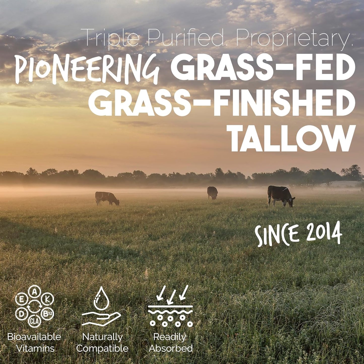 BALM OF GILEAD Manuka Eczema Honey Cream - Moisturizer for Sensitive Skin, Eczema, Psoriasis & Dermatitis - Manuka Honey Ointment, Grassfed Tallow